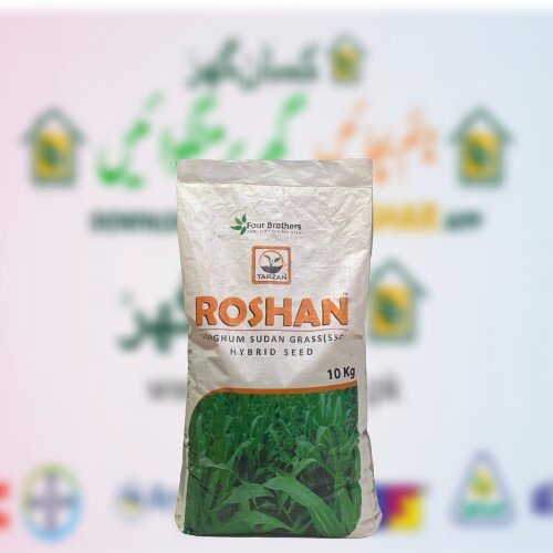 Jawar Roshan 10kg Sorghum Sudan Grass with more leafs and proteins for animals Fourbrothers Tarzan