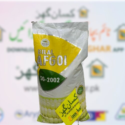 Pak Afgoi Sg - 2002 Certified 20kg Bilal Seed Corporation Fodder Corn Seed Chara Makai