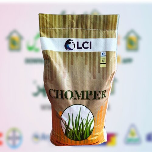 Chomper/Feedmaster 10kg ICI LCI Advanta Hybrid Forage Sorghum Seed Jumbo Jawar جوار کا بیج ملٹی کٹ Chara 