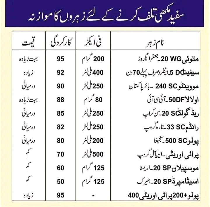 (Whitefly) سفید مکھی