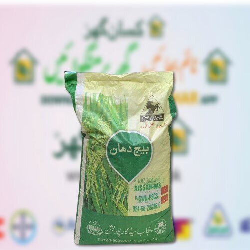 2nd Kissan Basmati 20kg Paddy Seed Punjab Seed Rice Seed