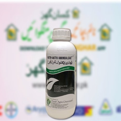 Nutri Aktiv Aminoalgae 25 1liter Amino Algae Fertilizer Biostimulant Amino Acid 9.1, Seaweed Extract 29.5, Boron, nitrogen, magnesium and molybdenum Foliar Spray Spachem S.L Spain Swat Agro
