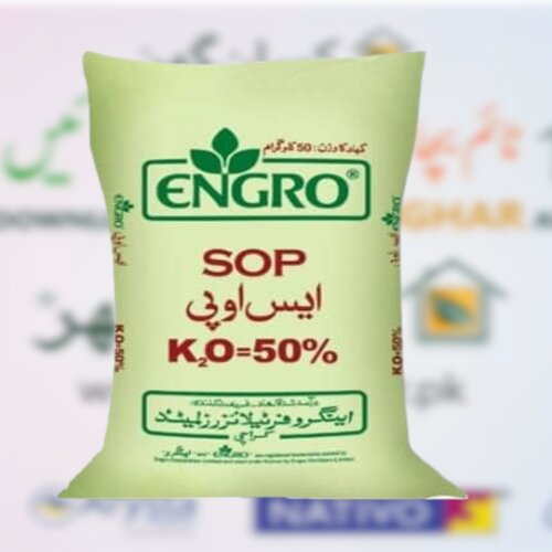 Sop Engro/UAF 50kg Sulfate Of Potash Powder Engro Fertilizers سلفیٹ آف پوٹاش