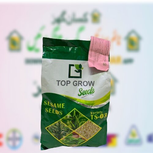2nd Sesame Seed Ts 03 1kg Green Gold/Green Power/top grow Farmi Till Beej تل کا بیج