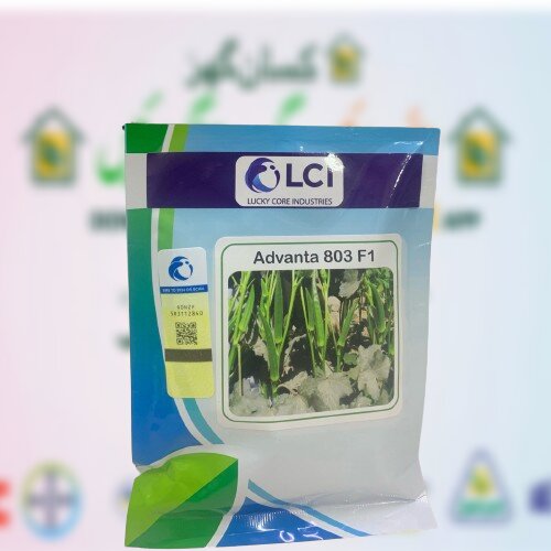 2nd Okra Advanta 803 F1 ICI Pakistan Bhindi Seed 100gm Vegetable Hybrid Seed Lady Finger Seed LCI
