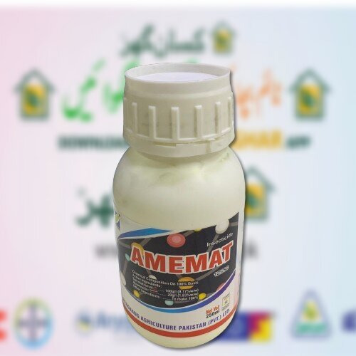 AMEMAT 250ML Amemat Insecticide Zhenbang Spirotetramat + Abamectin for Silla, Thrips, Whitefly, mites etc