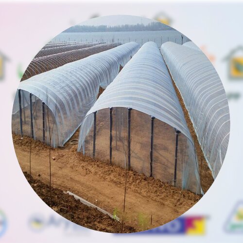 2nd High Tunnel film or Green House film plastic covering for winter ice rink liner plastic sheeting heavy duty greenhouse plastic transparency film Garden Cover white rainproof Waterproof membrane white/transparent Walk in Tunnel