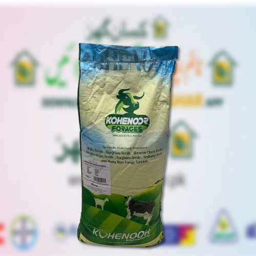 Kohenoor Rye Grass 8kg Germany Ray Grass Rai Grass Kohe noor Noorani Seeds
