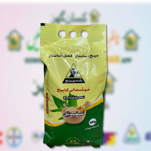 Sesame Seed Ts 03 2kg Punjab Seed Corporation Till Beej تل کا بیج white sesame Seed for sowing