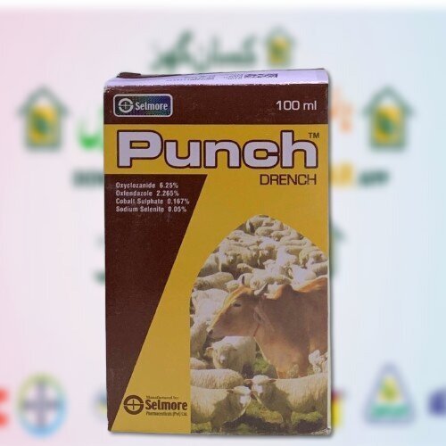 Punch Drench 100ML for veterinary Use only Selmore Pharmaceuticals 
