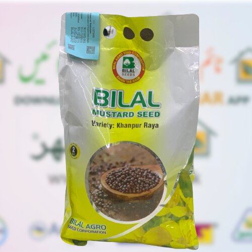 Khanpur Raya 2kg Raya 2kg Sarsoon Seed Op Bilal Agro Seed Toria Seed Mustard Seed Oil Crop Super Mustard Seed Khan Pur Raya