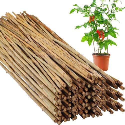 2nd 100 Pcs Bamboo Stakes Bulk 7 feet, Natural Plant Stakes Bamboo Garden Supports Climbing for Tomatoes, Beans, Vegetable, Potted Plants, fencing and etc