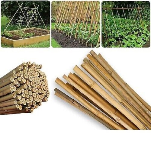 100 Pcs Bamboo Stakes Bulk 7 feet, Natural Plant Stakes Bamboo Garden Supports Climbing for Tomatoes, Beans, Vegetable, Potted Plants, fencing and etc