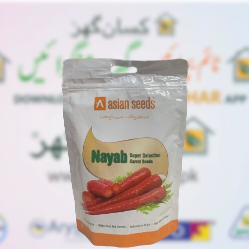 Carrot Seeds 500gm Nayab Super Selection Carrot Seeds Company Gajar Seed Mahyco Every Seed Counts Ntl Seeds Asian Seeds