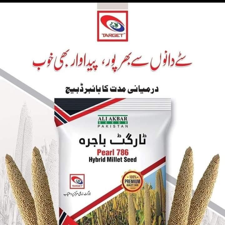 2nd Pearl 786 2kg Target Bajra Hybrid Millet Seed F1 Ali Akbar Pakistan 