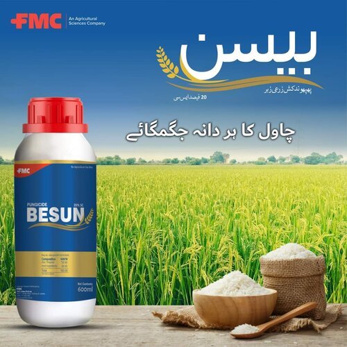 Besun FMC 600ML Zinc Thiazole 20SC Patent Chemistry Fungicide Preventive for all crops ایف ایم سی بیسن 
