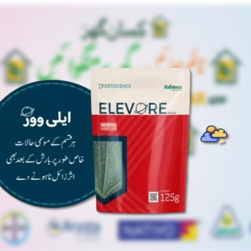 Elevore 30SG 125GM Acetamaprid + Flonicamid Insecticide for whitefly and aphids Fertiscience ایلی وور