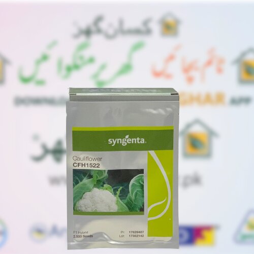 Cfh 1522 2500 Seeds F1 Hybrid Cauliflower Treated With Fludioxonil 2.5ks Syngenta Pakistan Limited Gobi Ka Beej