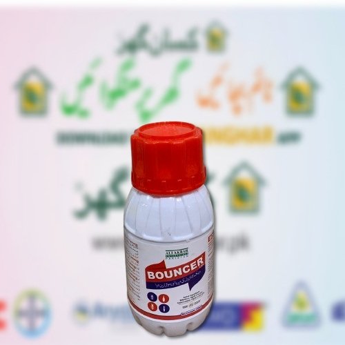 Bouncer 2.5EC 250ML Active Bifenthrin 1 and Cypermethrin 1.5 Deemak Control Best product to kill Termites ali akbar