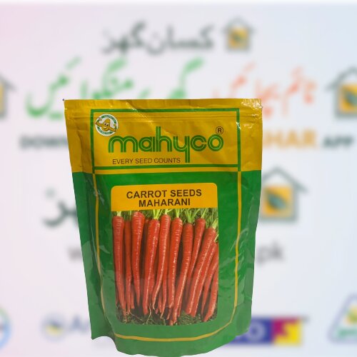 Carrot Seeds 1kg Carrot Red Core Maharani Seeds Company Gajar Seed Mahyco Every Seed Counts Ntl Seeds Asian Seeds