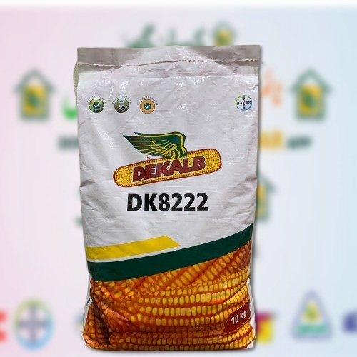 Dk8222 Hybrid Corn Seed 10kg Monsanto Dekalb Bayer Maize Seeds DK 8222 New Vaiety 