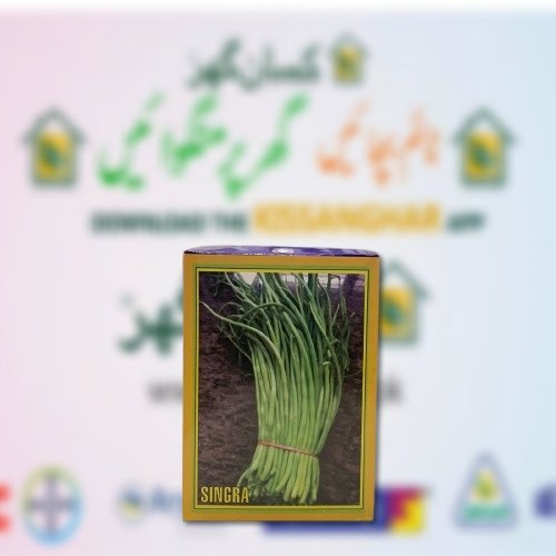 Singra seed 100GM Vegetable seeds for kitchen gardening and comercial purpose Green gold Kisan ghar
