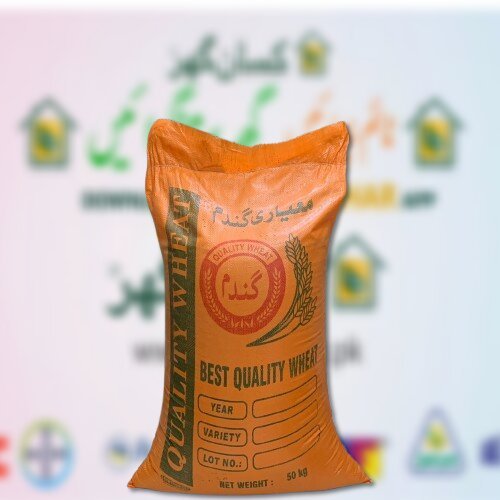 Sawera 24 Wheat Seed 50kg Tagra Seeds Top Quality Seed Gandum Ka Beej گندم کا بیج New Variety Tagra Beej Sidhnai Seeds Corporation