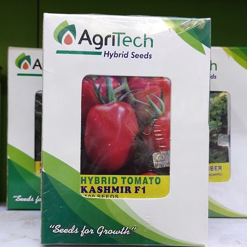 Hybrid Tomato Kashmir F1 2500 Seeds Agri Tech Tomato Seed