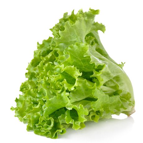 2nd Lettuce Seed 100gm Salad Beej Green Gold Green Leafs Origin China