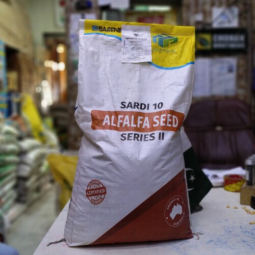 Alfalfa Seed  Lucerne  Sardi 10 Matra Asia