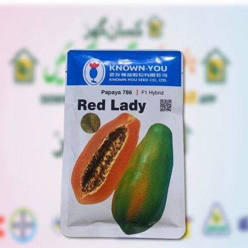 Red Lady Papaya 786 F1 Hybrid Seed 10G Known-You Seed Co Taiwan Botanical name Carica Papaya 