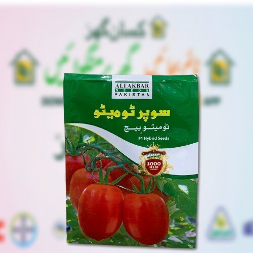 Super tomato Beej 3000 Seeds in 1 pack F1 Hybrid Seeds Ali Akbar seeds Target Tomato Seed