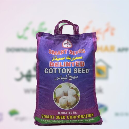 2nd Ss 32 Cotton Seed 5kg Delinted Cultivation Smart Seed Corporation Kappas Beej Kapas Ka Beej New Variety کاٹن سیڈ کپاس بیج