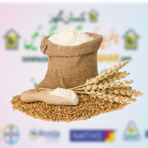 Pure Dry Wheat to make flour at home to make breads 40kg Pack Organic Wheat for sale  Gandum