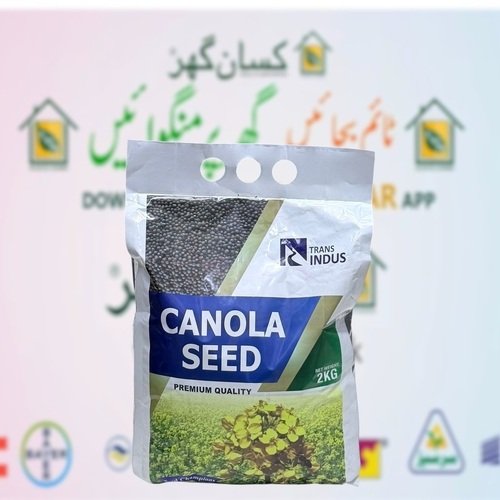Indus Canola 2kg Narc Sarsoon ( 00 Canola ) Canola Seed کینولہ Sarson Sarsoon Seed Super Canola