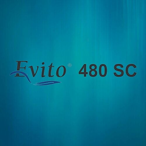 2nd Evito 480sc 100ml Fungicide Arysta Life Science Fluoxastrobin