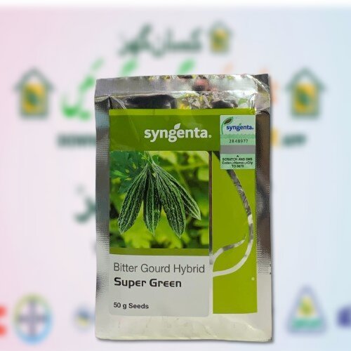 Bitter Gourd Hybrid Super Green 50GM Seeds Syngenta Pakistan 