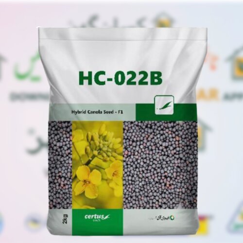 Hybrid Canola Seed 1kg ( part of 2kg bag ) F1 Hc 022b Certus Seed Kanzo Combagro Evyol Group