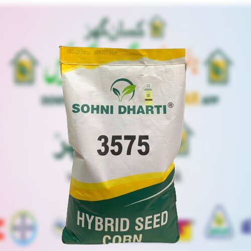3575 Sohni Dharti  Corn Seed Pakistan 10kg | Spring Corn Seed | Grain Corn | Hybrid Corn Seed | Top Quality Corn Seed Maize Seed ہایبریڈ بیج بہار یہ مکئی