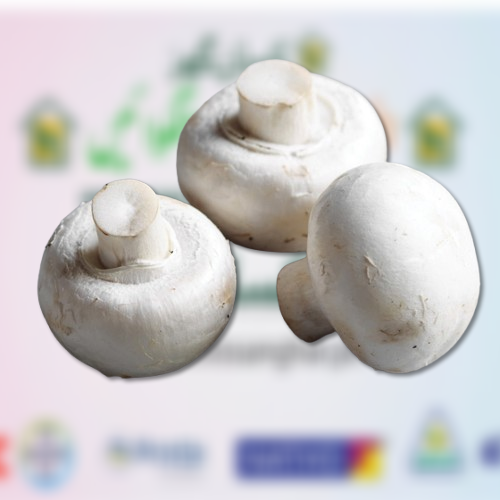 White Button mushrooms 500GM  Clean Button mushrooms can be eaten raw, but they are generally better when cooked Qurshi pvt