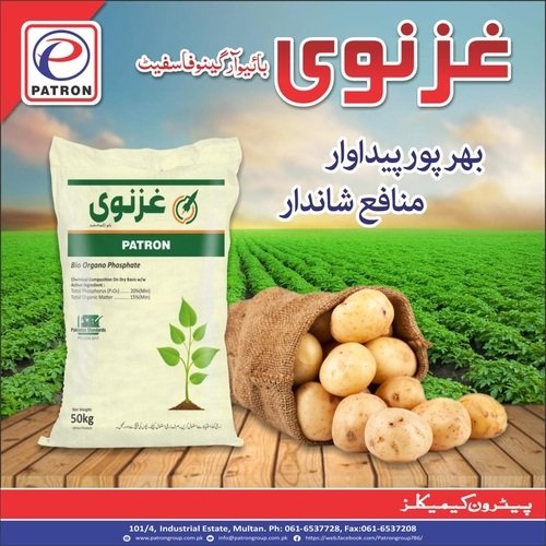2nd Ghaznawi Bop 50kg Patron Chemicals Bio Phos Phosphate Solubiulizing Bacteria (psb) Hdom بی او پی