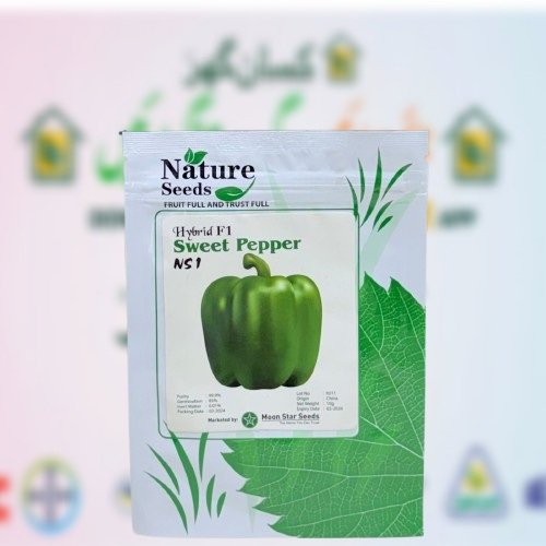 Sweet Pepper NS1 10gm seed Hybrid F1 Shimla Mirch vegetable seeds Moon Star seeds Nature Seeds