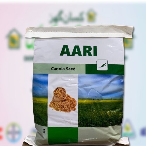 Aari Canola 2kg Evyol Group Certus Seeds Mustard Seed Canola Seed آری کینولہ Sarson Sarsoon Seed Toria Seed Super Ray Combagro Agpharma kanzo Ari Canola