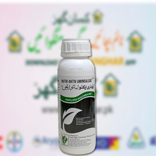 Nutri Aktiv Aminoalgae 500ML Amino Algae Fertilizer Biostimulant Amino Acid 9.1, Seaweed Extract 29.5, Boron, nitrogen, magnesium and molybdenum Foliar Spray Spachem S.L Spain Swat Agro Nutri active Nutriaktive Nutriactive