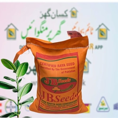 Khanpur Raya 2kg Raya 2kg Sarsoon Seed Op JB Seed Toria Seed Mustard Seed Oil Crop Super Mustard Seed Khan Pur Raya