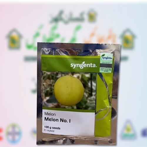 Melon no 1 100GM F1 Hybrid Seed for sowing planting Syngenta Pakistan Limited Syngenta Seed Yellow Melon seed