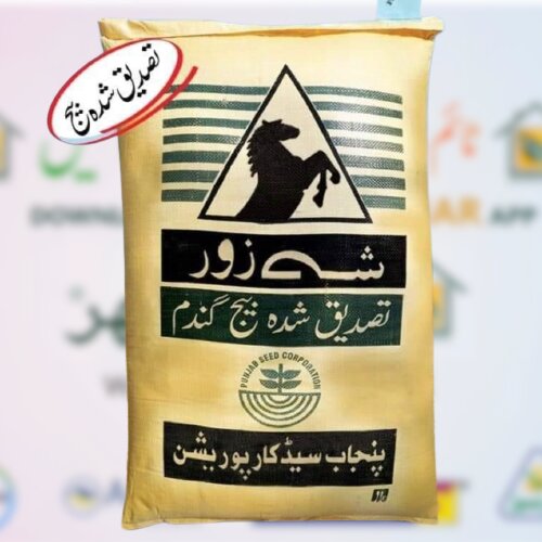 2nd Urooj 50kg Punjab Seed Corporation Wheat Seed گندم کا بیج Arooj Seed