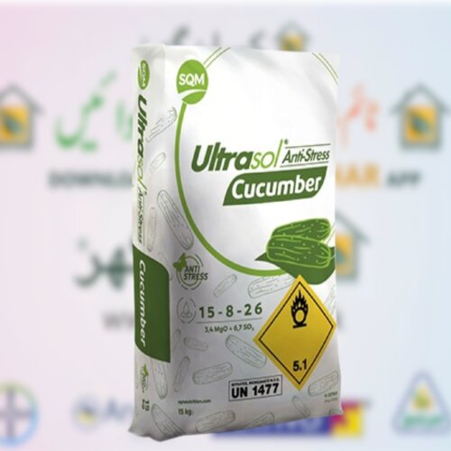 2nd Ultrasol Anti Stress Cucumber 1kg ( Part of 15kg Pack ) Npk 15 8 26 + 3, 4mgo + TE Swat Agro Chemicals