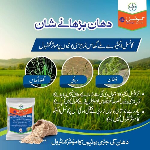 2nd Council Activ 75gm Triafamone 20 + Ethoxysulfuron 10wg Rice Herbicide Bayer Crop Science Council Active کونسل ایکٹیو Counsil Active