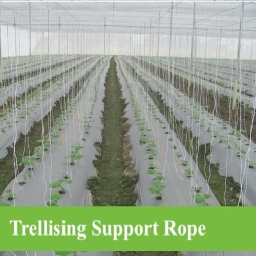 2nd Polyster Twine 210D Roll for tunnel farming climbing plats or crops Synthetic Flyment rope for all uses Trellising Support Rope for Your Plants | Trellising Supporting Twine